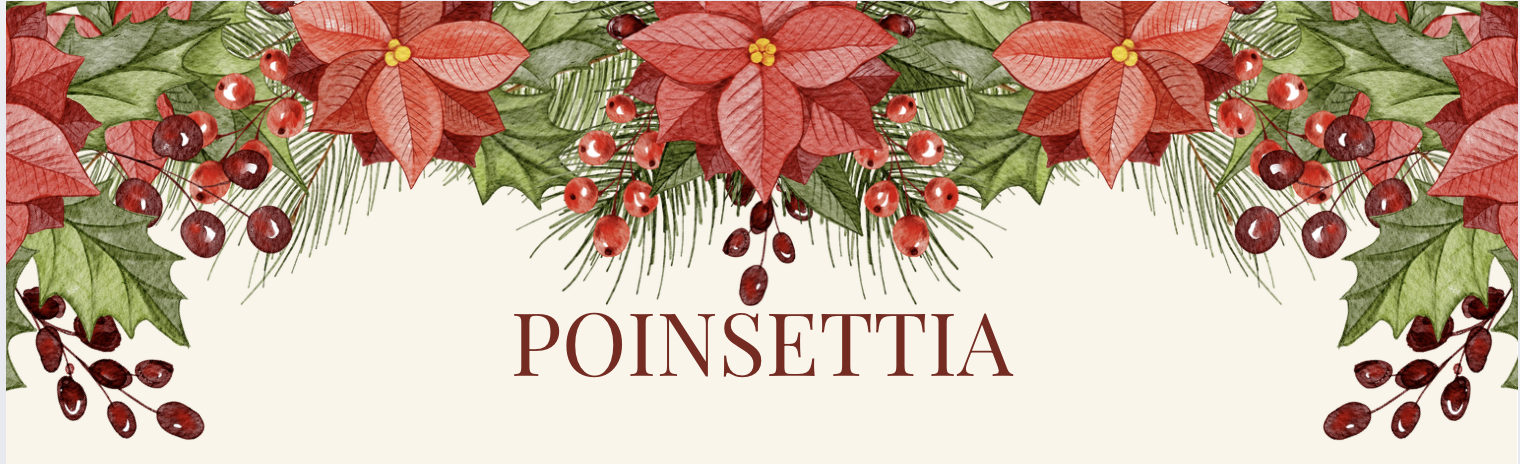 Dinner, thanksgiving, Church, Meal, Free, Refugee, Immigrant  